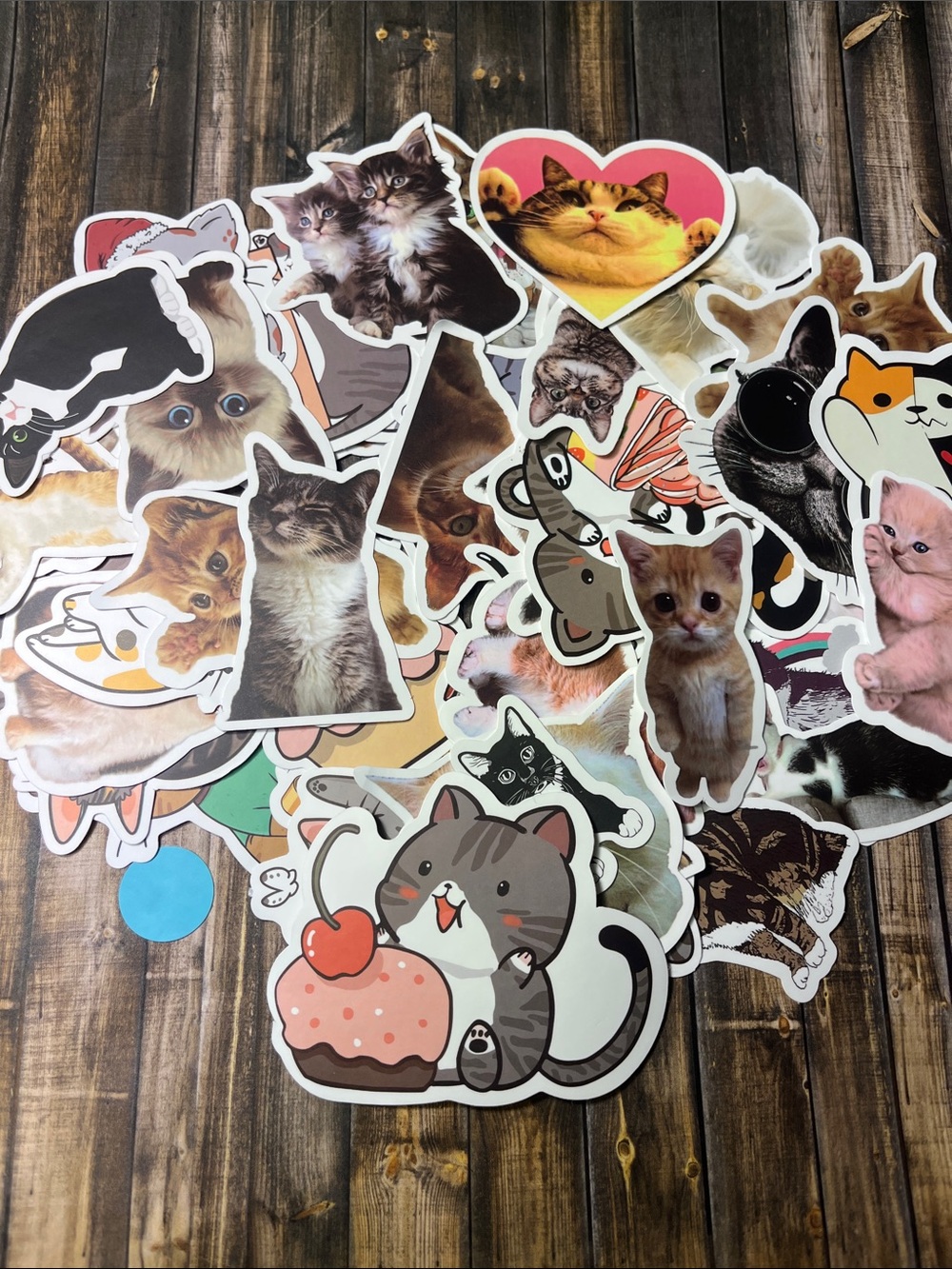 5for$10 Kitty Cat Animal Mixed Sticker 50 Pack Kid friendly Sticker